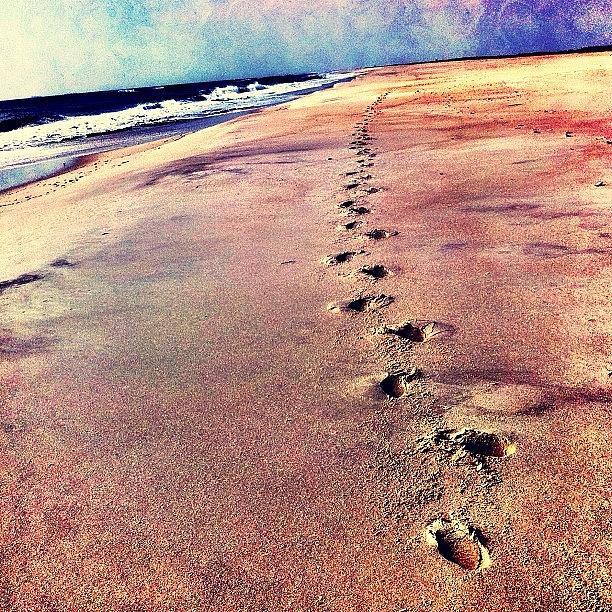 Nature Photograph - Footprints in the Sand by Jess Stanisic