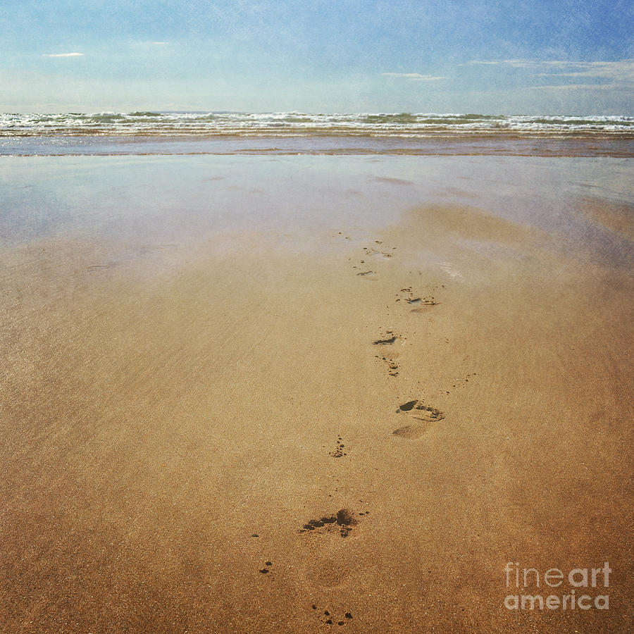 Footprints in the sand Photograph by Lyn Randle