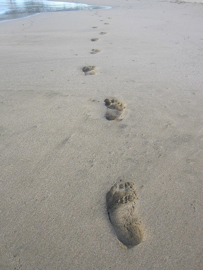Footprints in the Sand Photograph by Marilyn Wilson