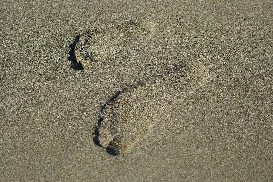 Footprints in the Sand Photograph by Wanda Jesfield