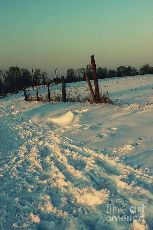 Sunset Photograph - Footprints in the Snow by Jutta Maria Pusl