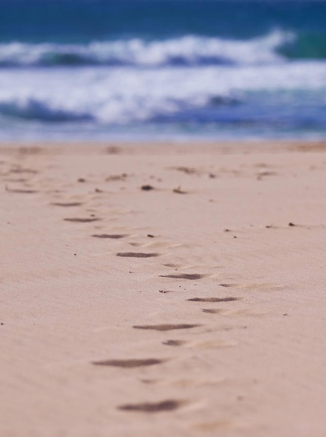 Nature Photograph - Footprints by Michelle Wrighton