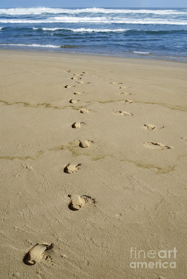 Footprints on sandy beach leading to sea Photograph by Sami Sarkis ...