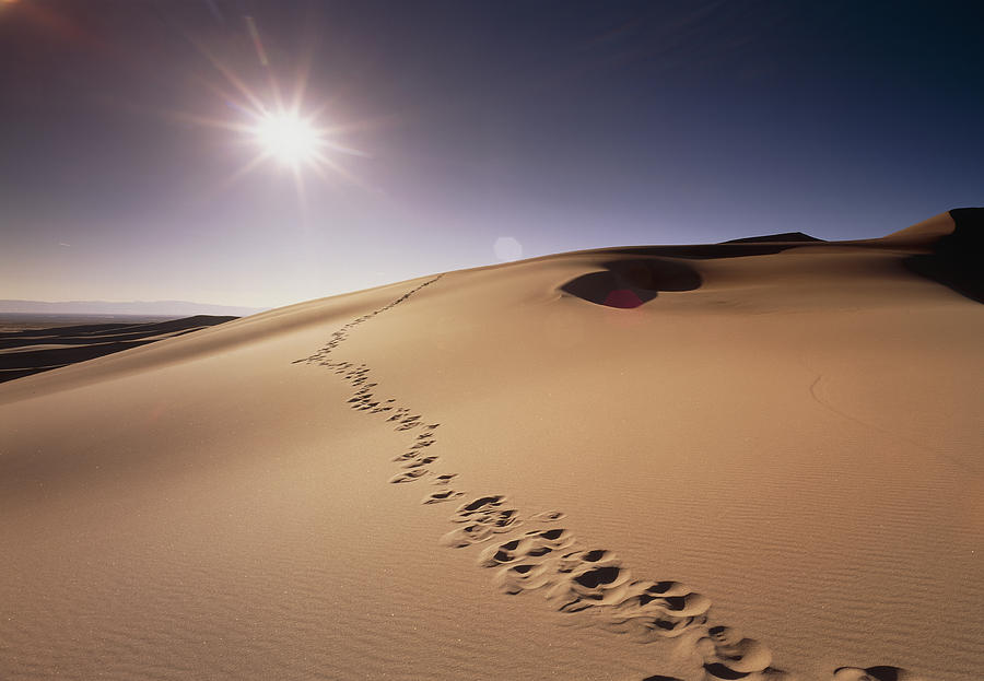 Desert Photograph - Footprints Over Sand Dunes by Jeremy Walker