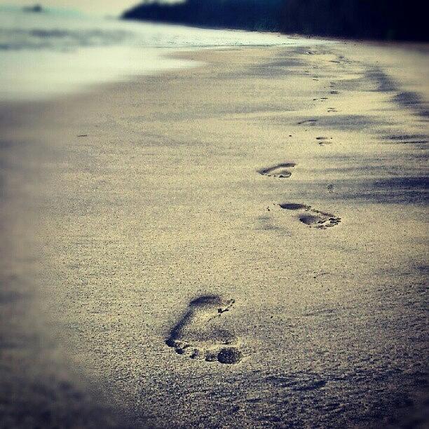 Nature Photograph - Footsteps by Tess Walther