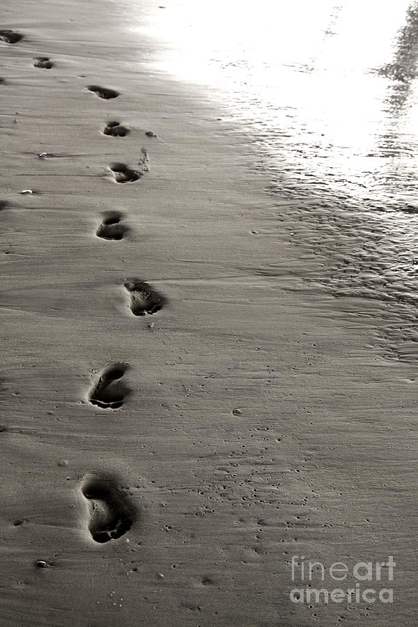 Footsteps Photograph by C Nakamura