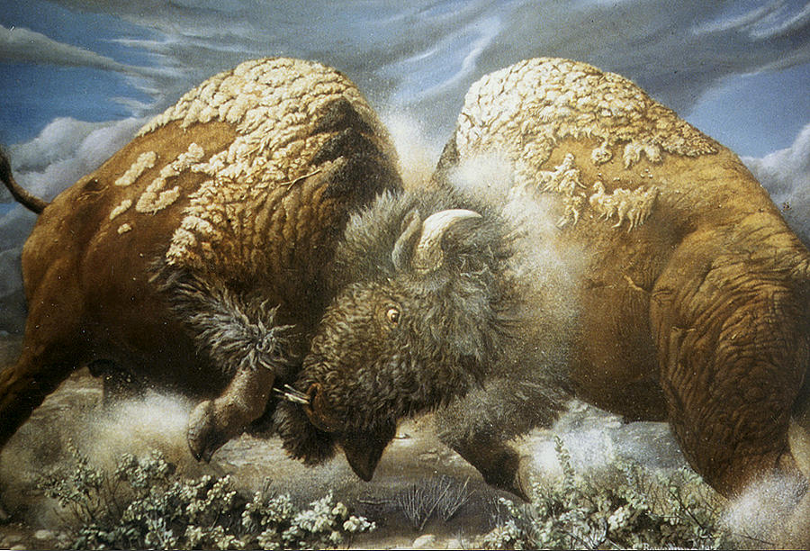 Buffalo Painting - For Dominance by Lee Bowerman