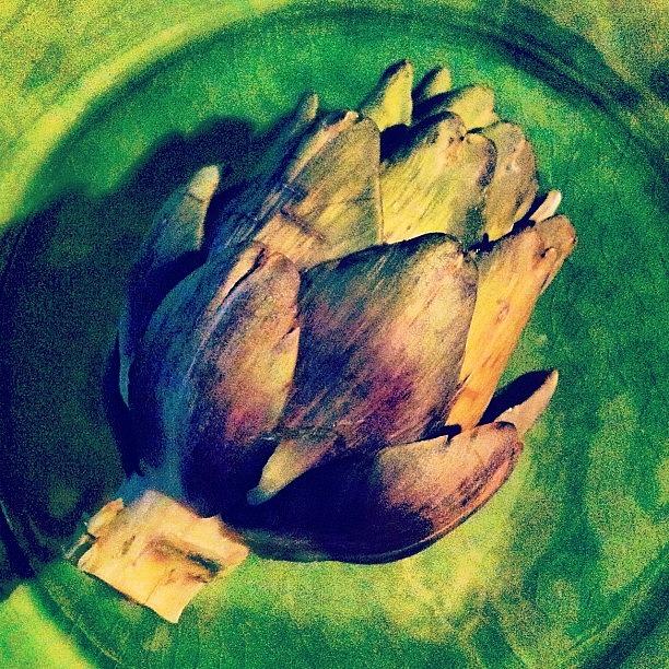 Artichoke Photograph - For Starters by Chloe Stickland