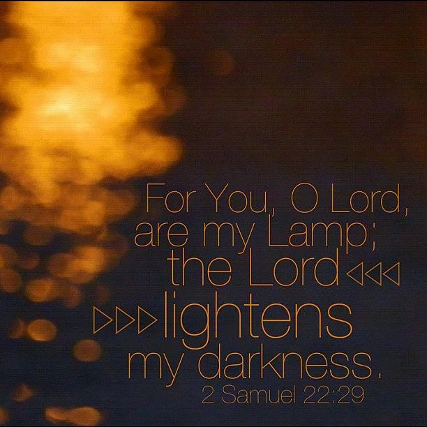 Nature Photograph - for You, O Lord, Are My Lamp; The by Traci Beeson