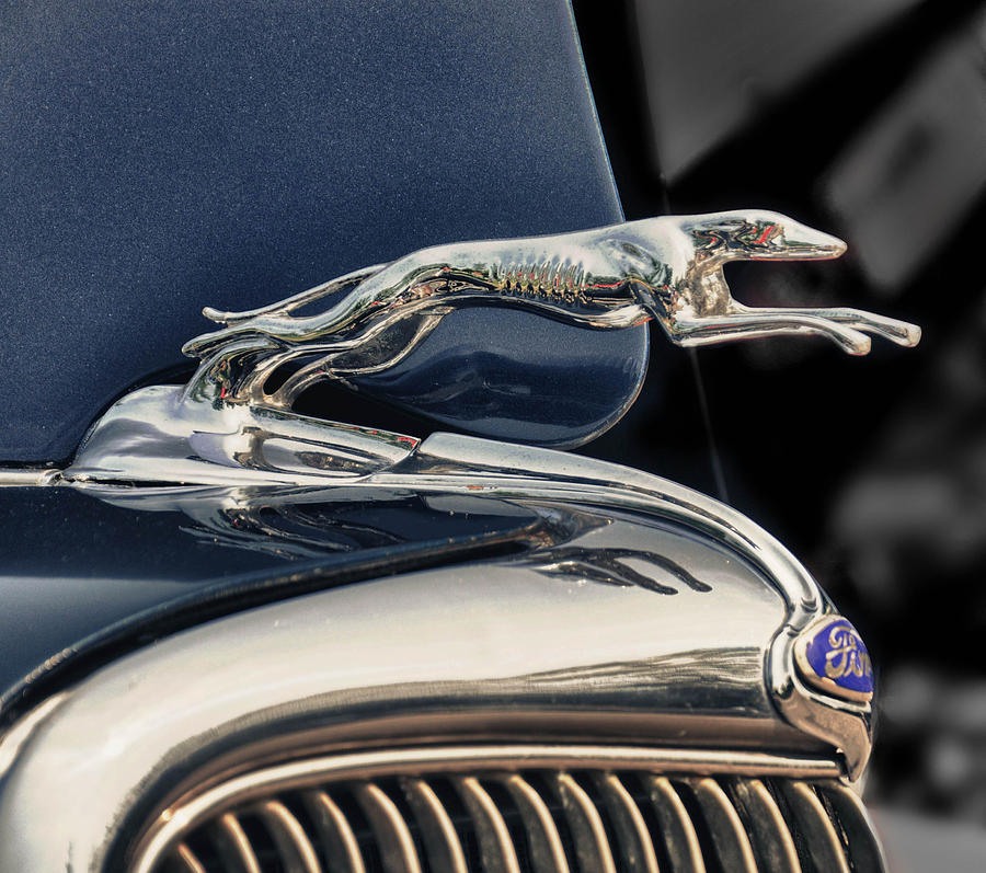 Ford Hood Ornaments Photograph by Brian Mollenkopf - Fine Art America