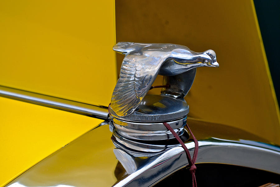 Ford quail radiator cap