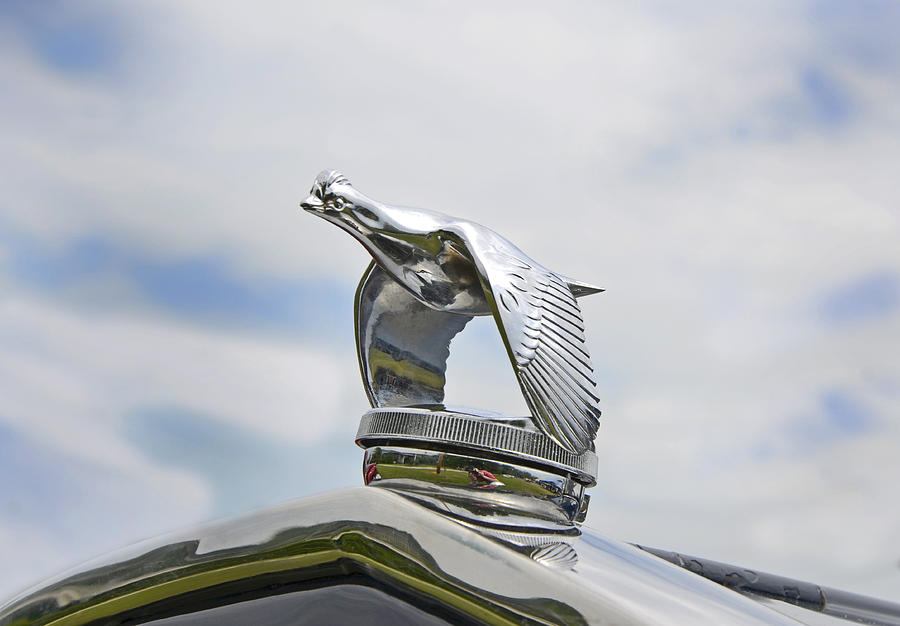 Ford Quail Radiator Cap Photograph by Paul Mashburn