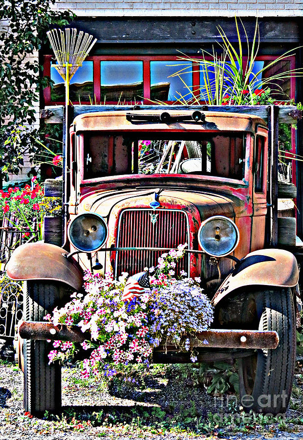Ford Truck in Retirement Photograph by Patricia Januszkiewicz
