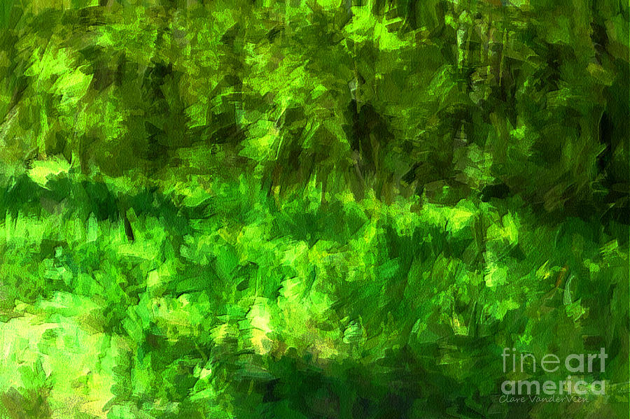 Forest Abstract Photograph by Clare VanderVeen