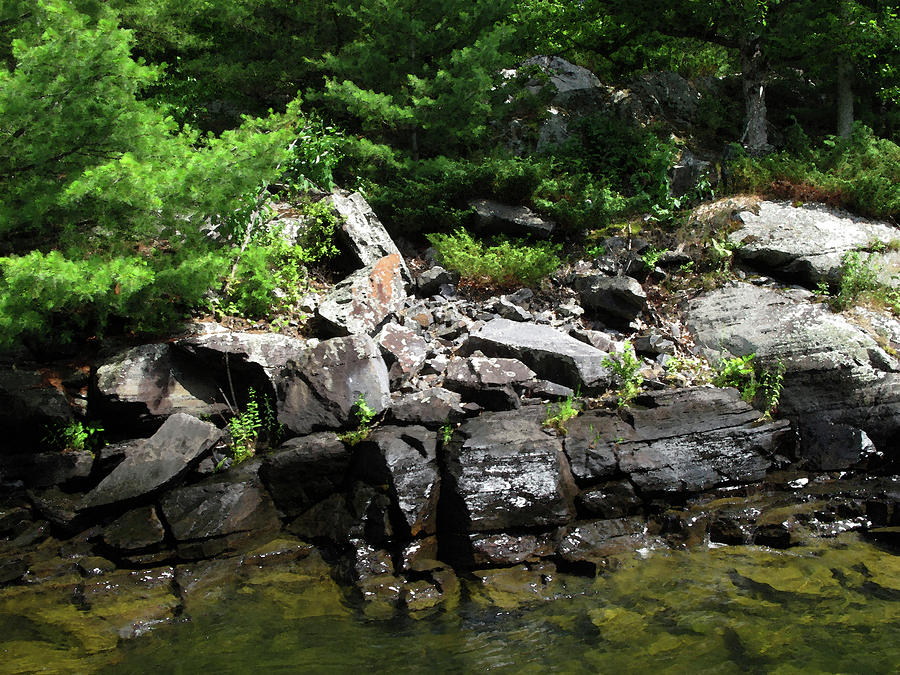 Forest and Rock By Water WC  Photograph by Lyle Crump