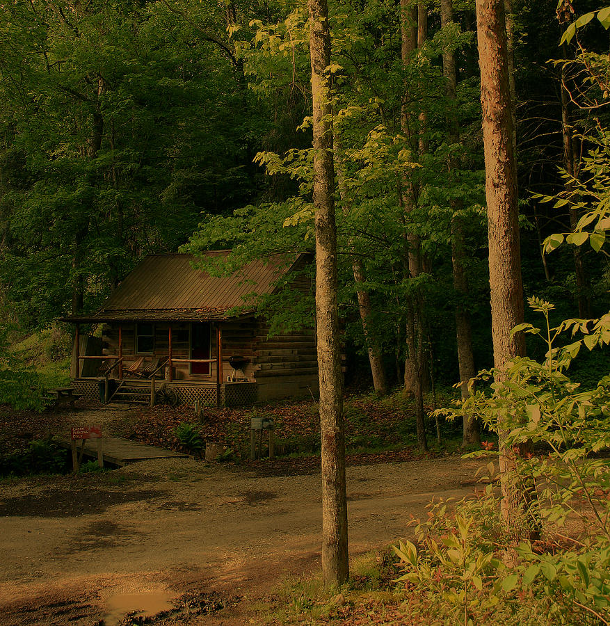 forest-cabin-nina-fosdick.jpg