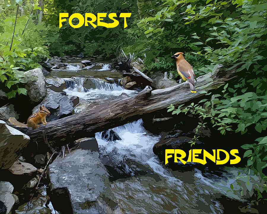Forest Friends sharing a log over a creek on Mt Spokane Photograph by Ben Upham III