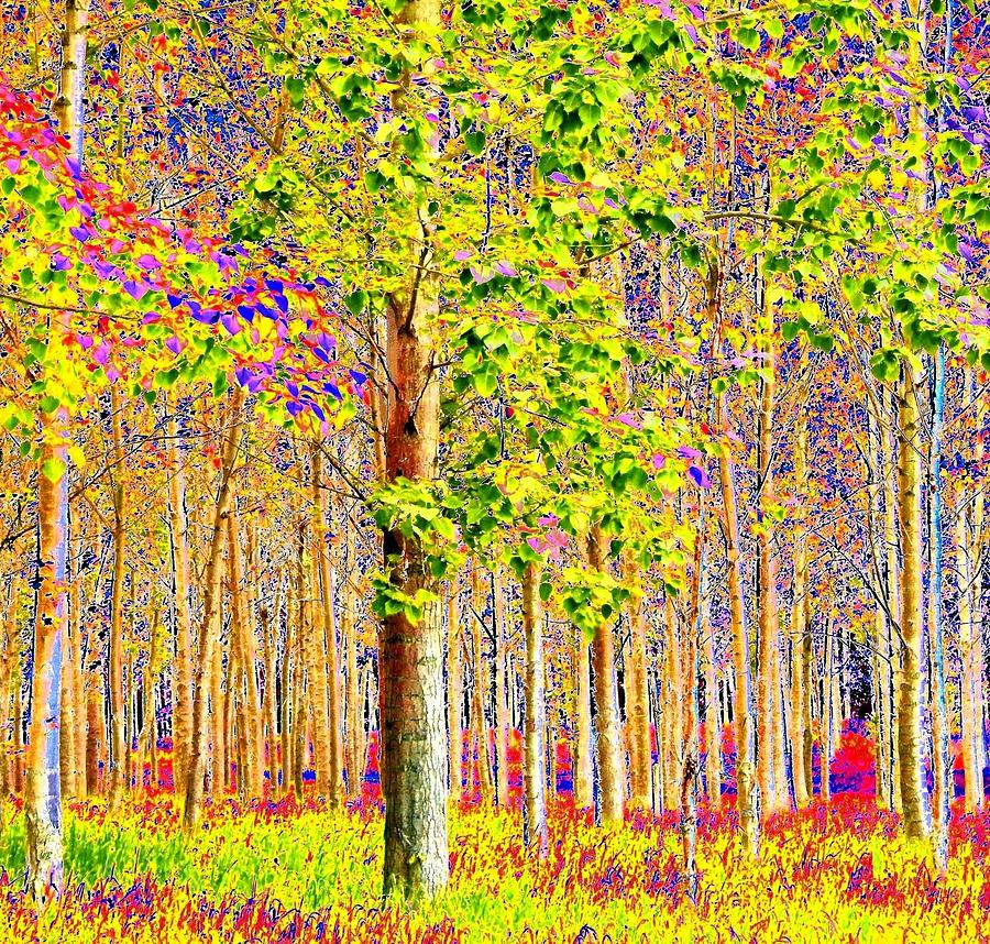 Forest Of The Mind Digital Art by Will Borden - Fine Art America