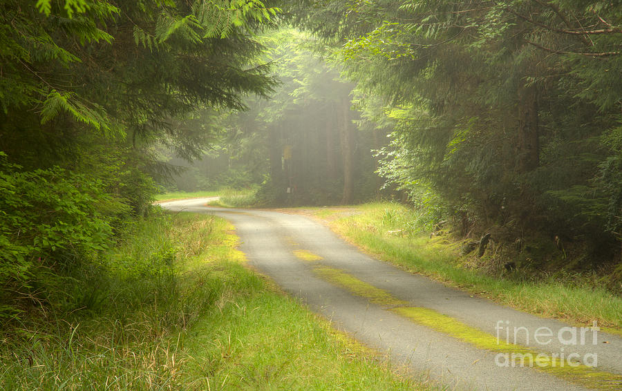 Atmosphere Photograph - Forest Portal by Idaho Scenic Images Linda Lantzy
