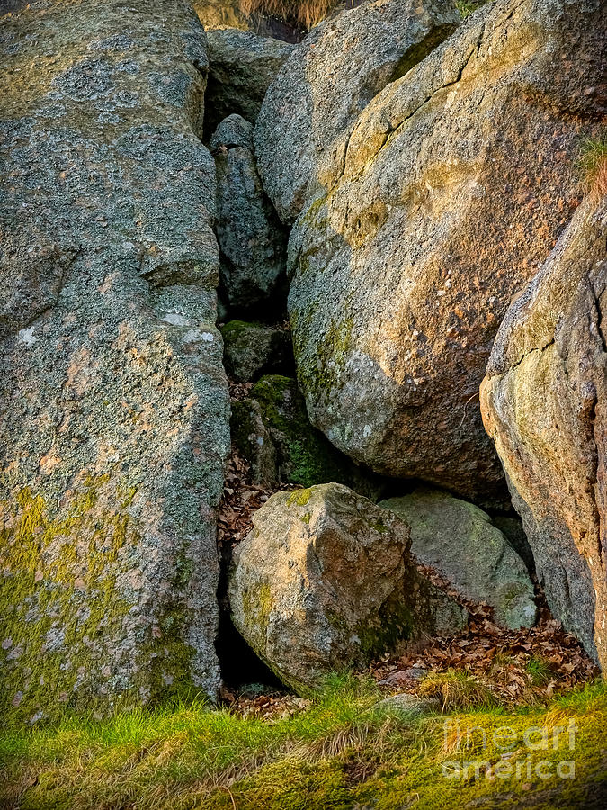 Forest Rocks Photograph by Lutz Baar