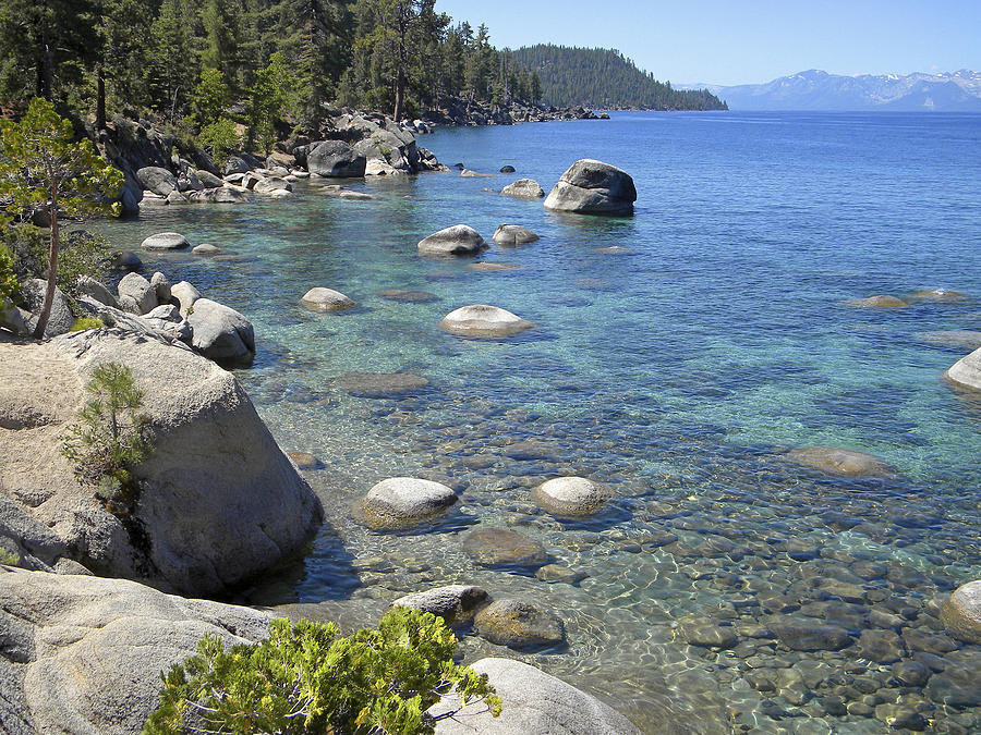 Mountain Photograph - Forested Shores Of Lake Tahoe by Frank Wilson