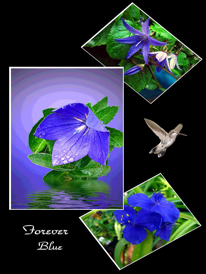 Forever Blue Collage Photograph by Joyce Dickens