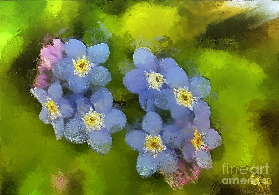 Still Life Painting - Forget-me-not flower by Dragica  Micki Fortuna