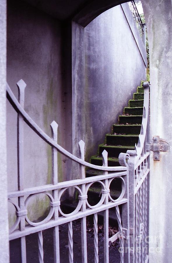 Forgotten Stairway Photograph by Norma Warden