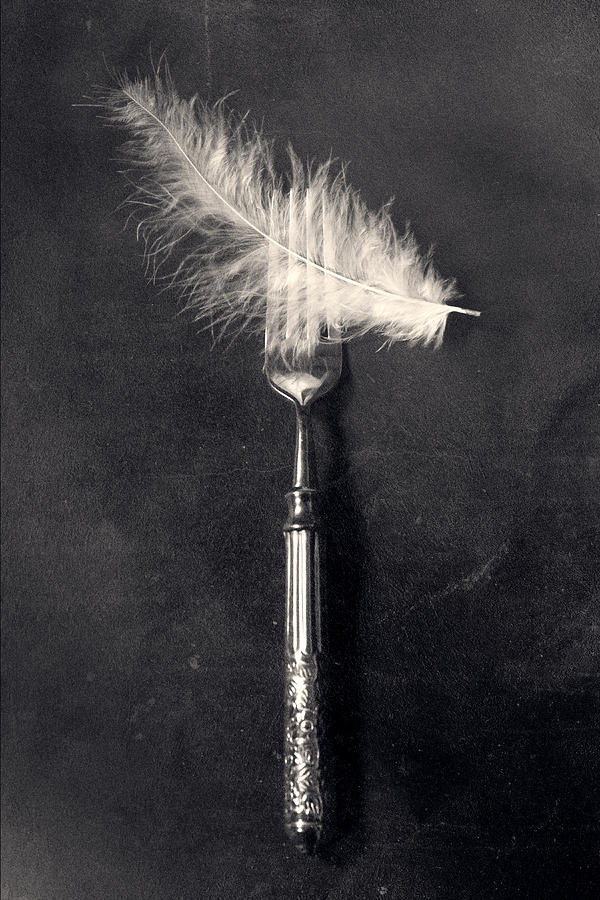 Still Life Photograph - Fork And Feather by Joana Kruse