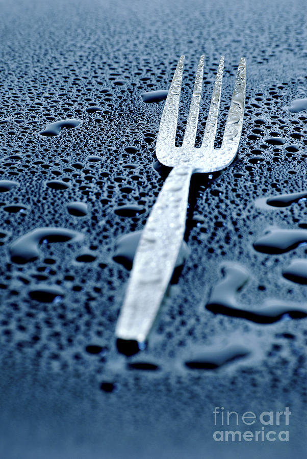 Fork Photograph by HD Connelly