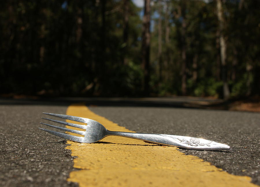 Fork In The Road Photograph by John Pierce Jr - Fine Art America