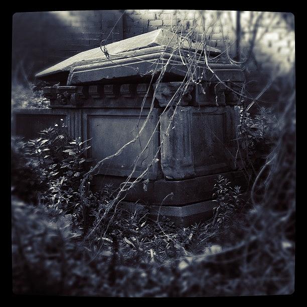 Blackandwhite Photograph - Forlorn #igers_sydney #graveyardseries by Kendall Saint