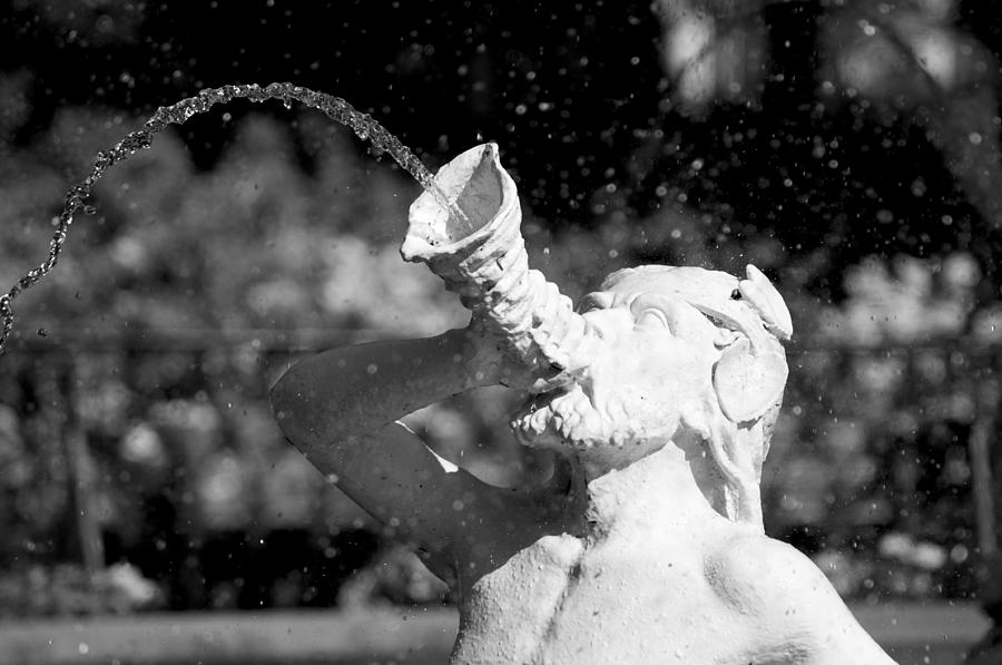 Forsyth Park Fountain Photograph by Leslie Lovell