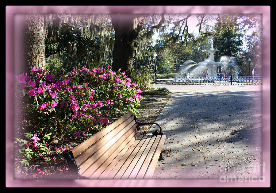 Forsyth Park in Spring Pink Photograph by Carol Groenen