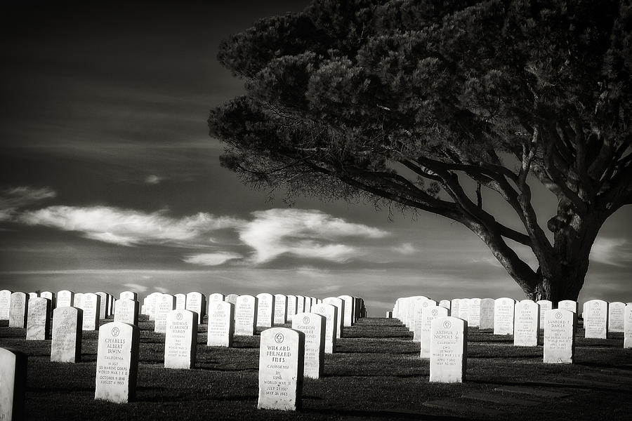 Fort Rosecrans National Cemetery Photograph by Paul Bartell