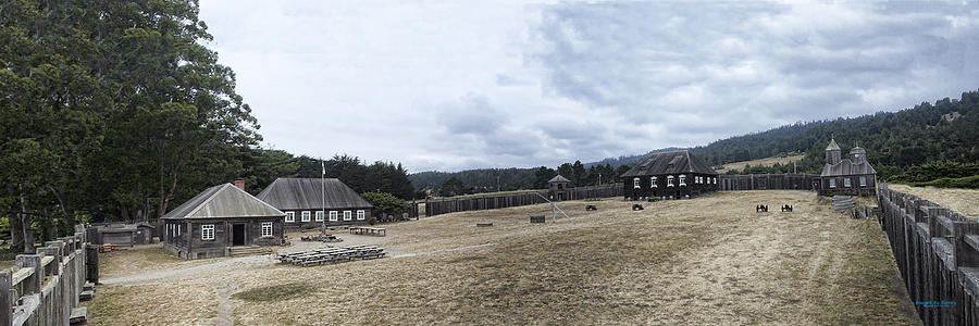 Tree Photograph - Fort Ross California Raw 00068-70 2012 by Torrey E Smith Tree Photograph - Fort Ross California Raw 00068-70 2012 by Torrey E Smith
