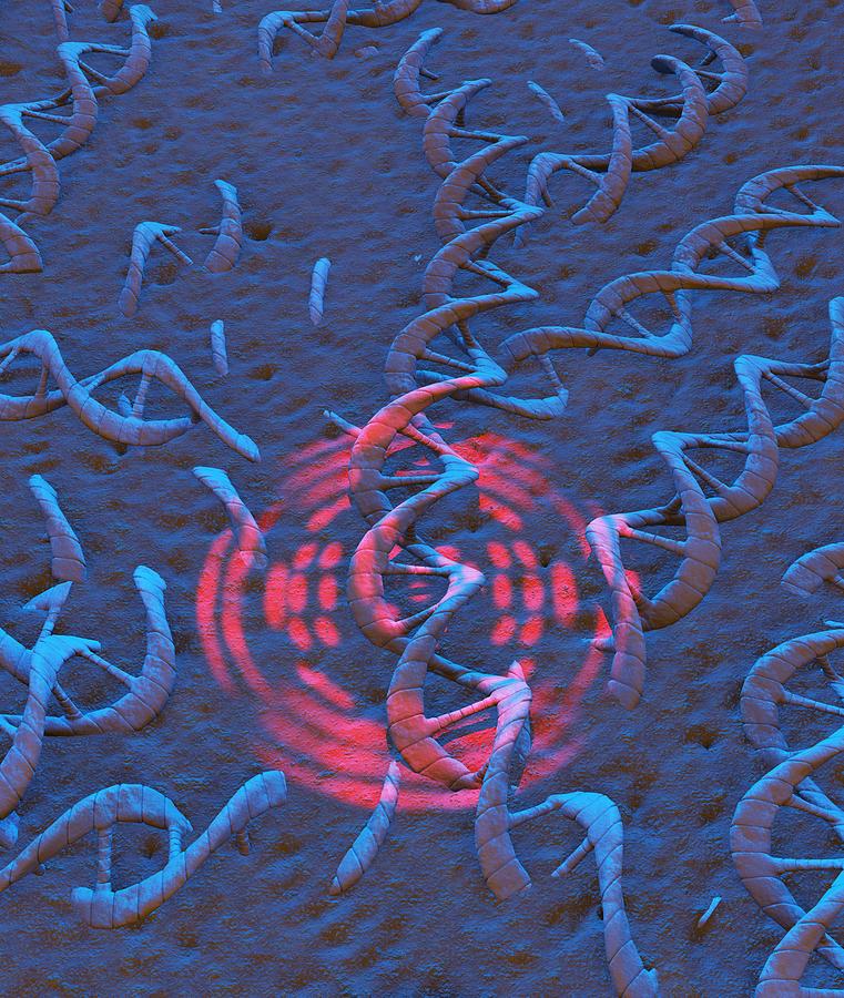 Fossil Dna And Xray Diffraction, Artwork Photograph by David Parker