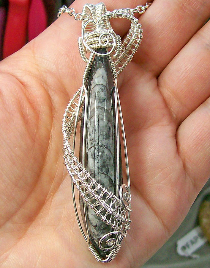 Necklace Jewelry - Fossil Orthoceras and Silver Pendant Necklace by Heather Jordan
