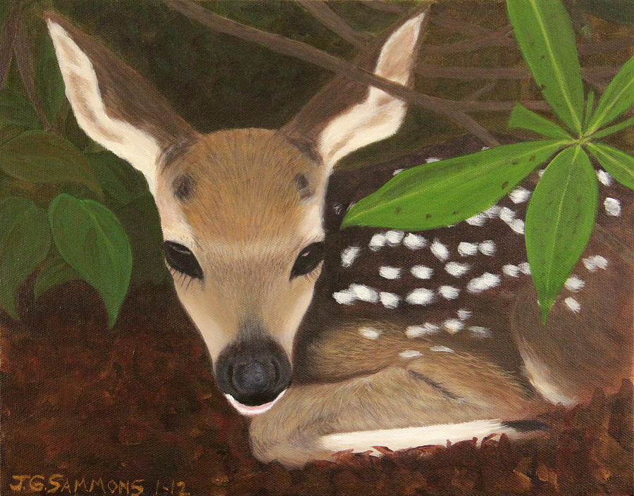 Found a Fawn Painting by Janet Greer Sammons