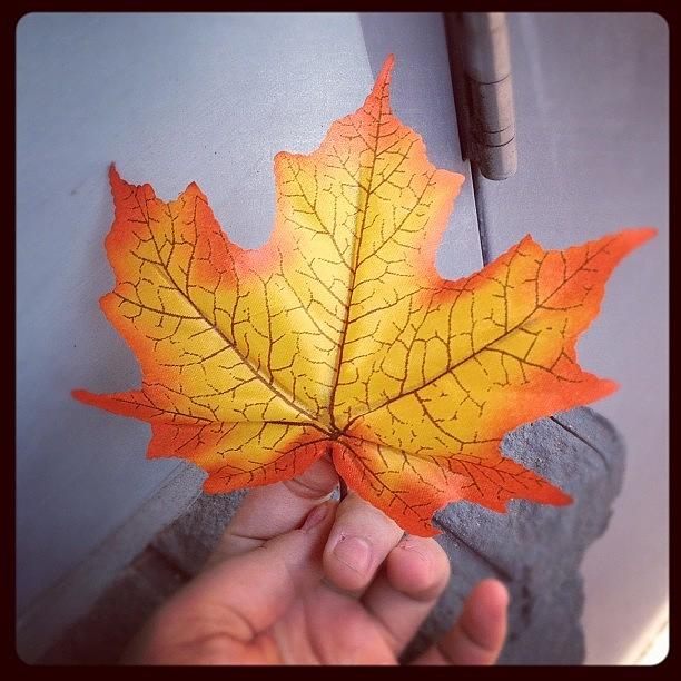 Fake Photograph - Found This Perfect Autumn Leaf In The by Katrina A