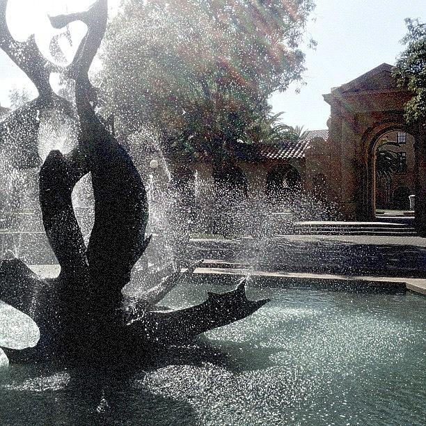Fountain At Stanford #latergram Photograph by Trey Jackson