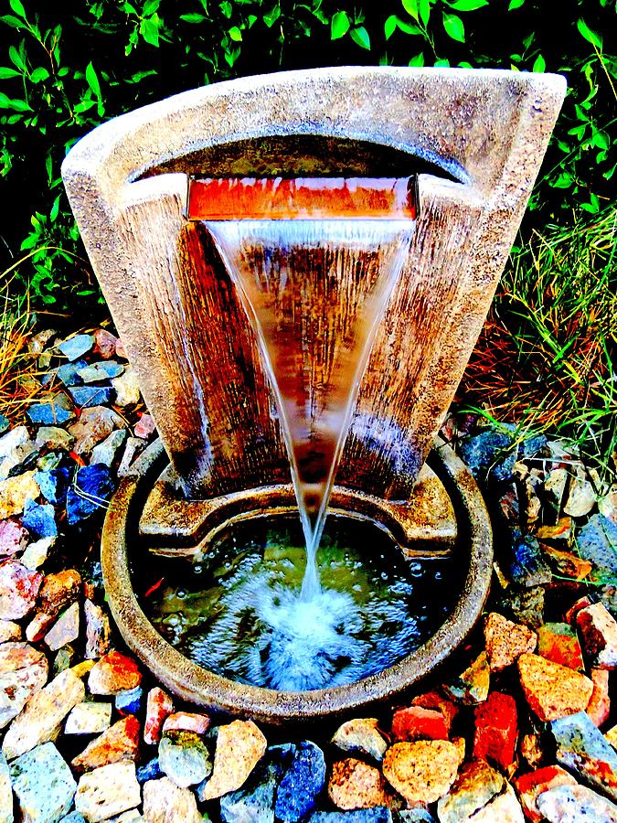Fountain Of Youth Photograph by Randall Weidner