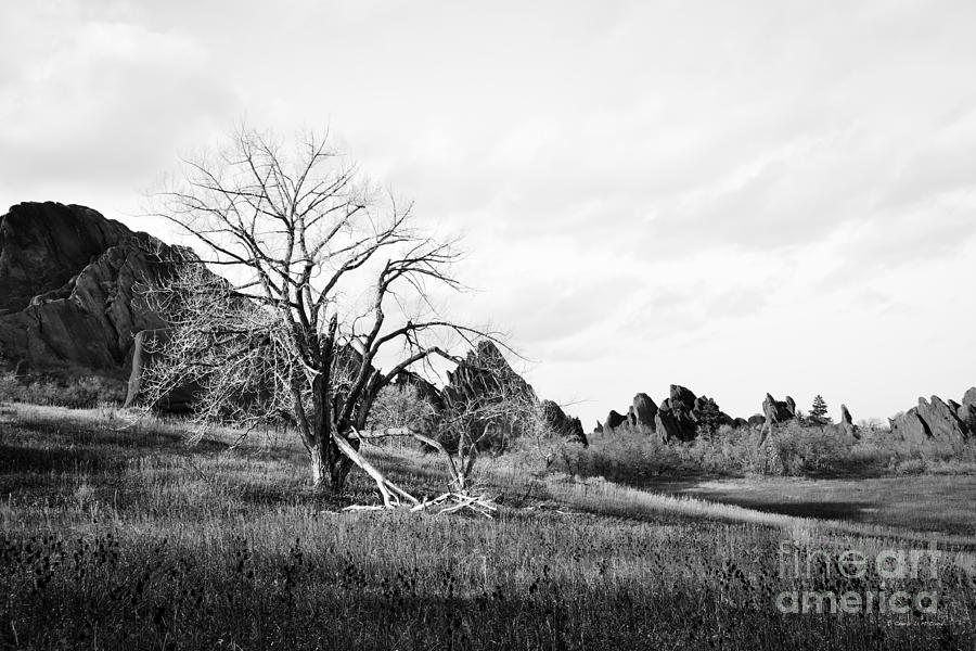 Fountain Valley in Black and White Photograph by Cheryl McClure