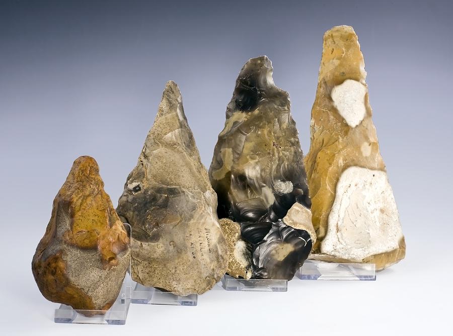 Tool Photograph - Four British Paleolithic Handaxes by Paul D Stewart