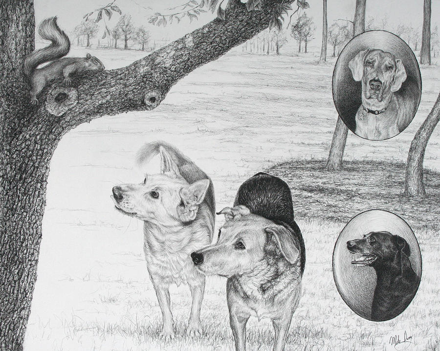 Four Dogs and a Squirrel Drawing by Mike Ivey