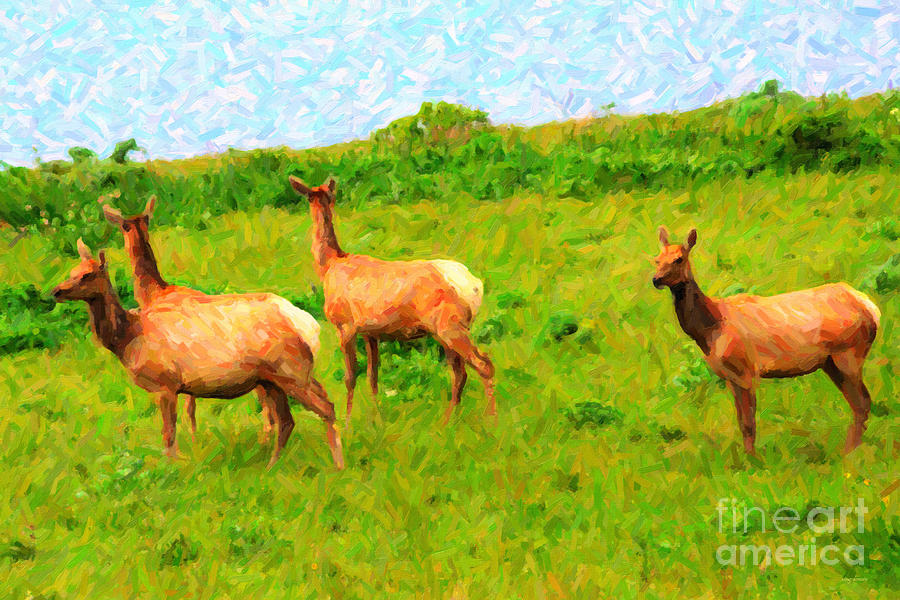 Animal Photograph - Four Elks by Wingsdomain Art and Photography