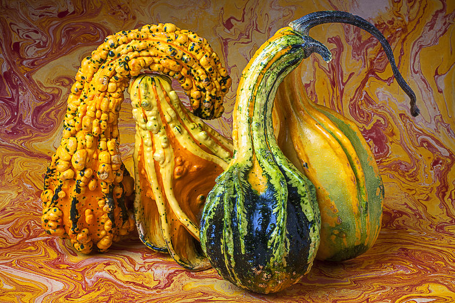 Fruit Photograph - Four Gourds by Garry Gay