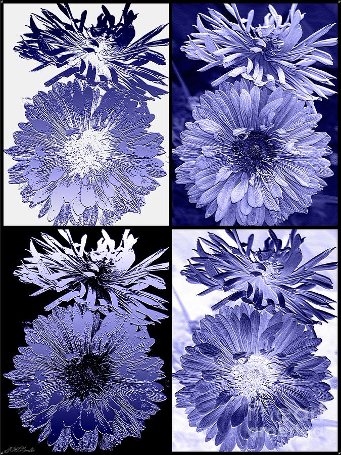 Four Interpretations of Anemone in Blue Digital Art by J McCombie