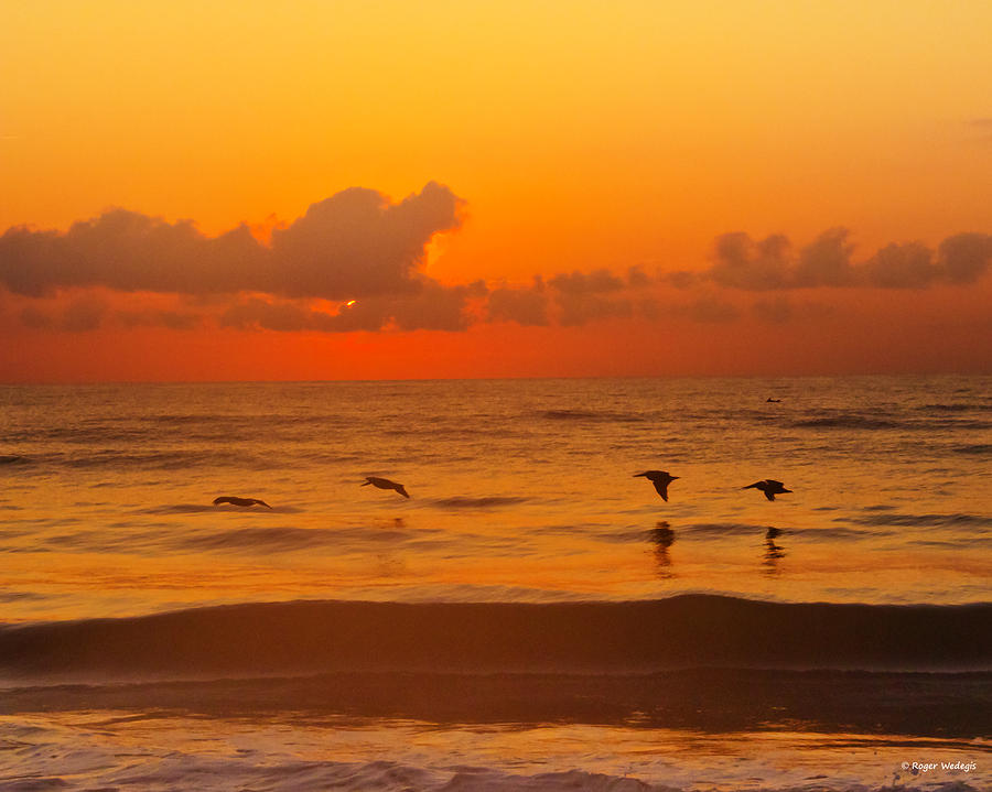 Bird Photograph - Four Pelican Sunrise by Roger Wedegis