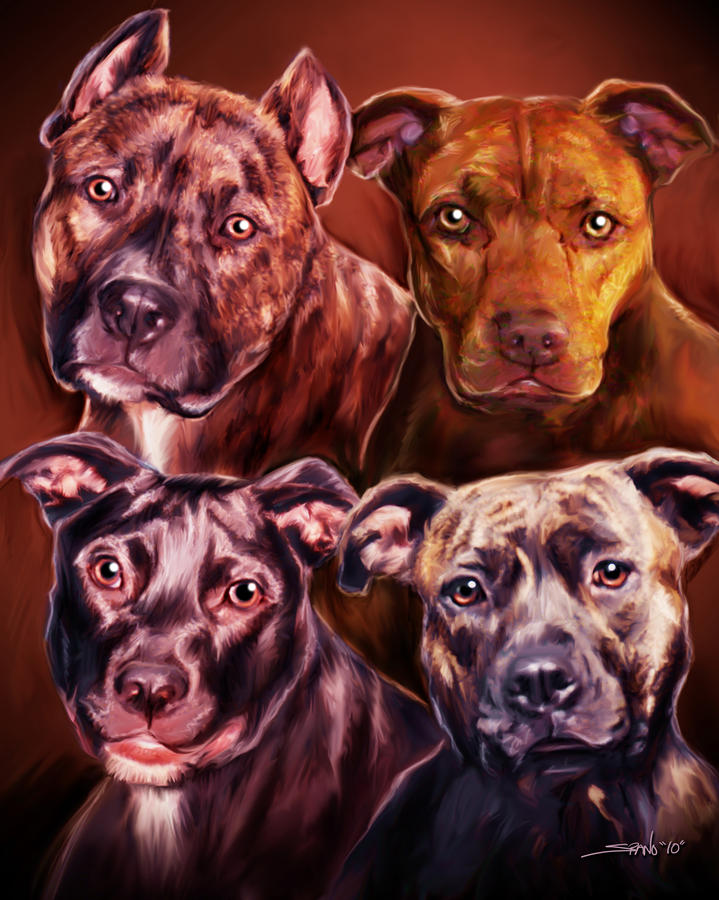 Four Pit Bulls Painting - Four Pit Bulls Fine Art Print